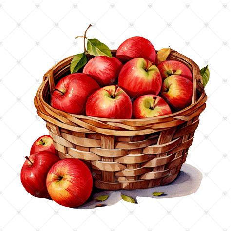 Apple Basket Clipart Bundle 10 High Quality Watercolor Jpgs - Etsy