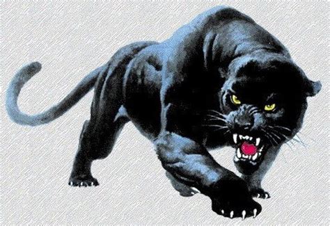 Angry Panther Face