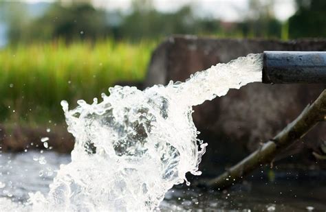 Understanding the Types of Water Pollution - Alabama Cooperative Extension System