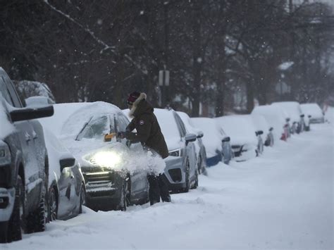 Yes, it’s still snowing. See how people (and dogs) weathered the nor ...