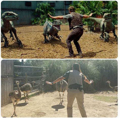 Zoo workers re-create Chris Pratt's best 'Jurassic World' scene ...