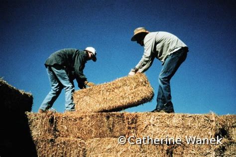 Straw bale - Straw Clay Wood