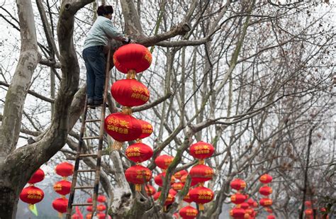 Lunar New Year Celebrations Around the World - ABC News