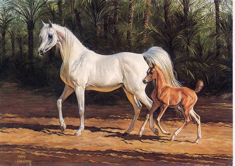 Most Precious | Arabian horse art, Equestrian art, Arabian art