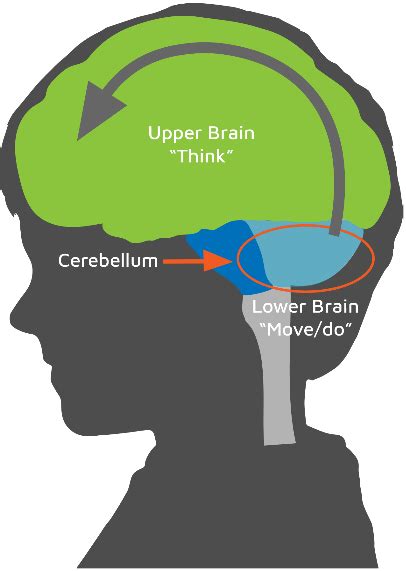 The first step in an ADHD, Autism, and Dyslexia intervention is to fill the cracks in the ...