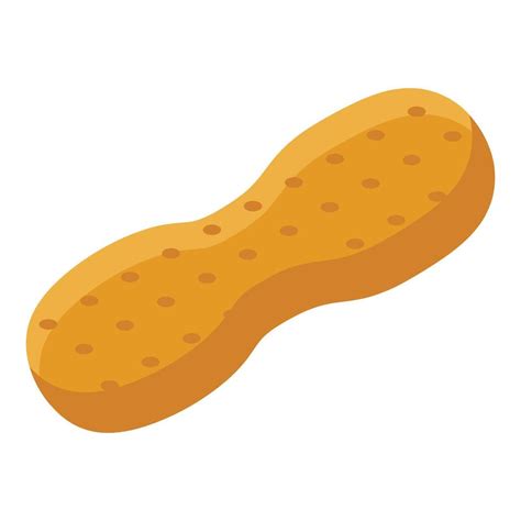 Raw peanut shell icon, isometric style 15378510 Vector Art at Vecteezy