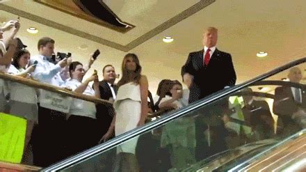 Trump GIF - Find & Share on GIPHY