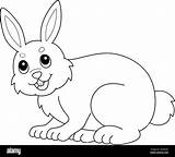 Rabbit Isolated Coloring Page For Kids Stock Vector Image & Art  Alamy sketch template