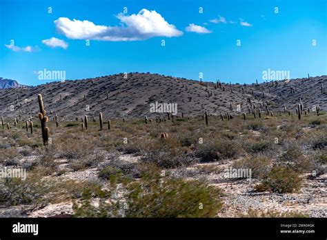 Nature of Andes mountains with beautiful panorama Stock Photo - Alamy