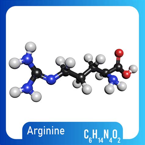 C6h14n4o2 molecule arginine model - TurboSquid 1422485