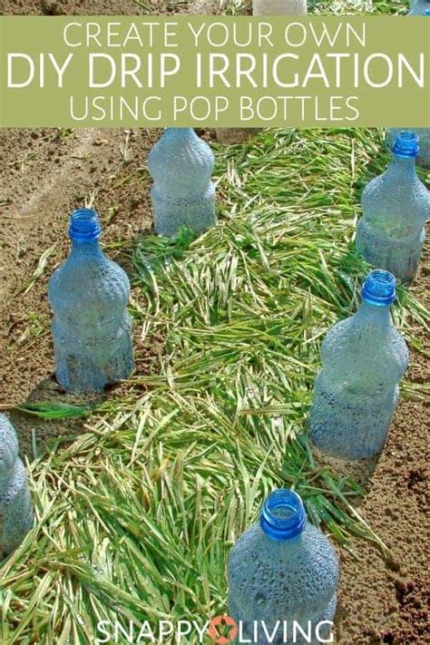 DIY Drip Irrigation Bottle for Gardens {How To}