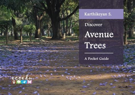 Discover Avenue Trees - EcoEdu