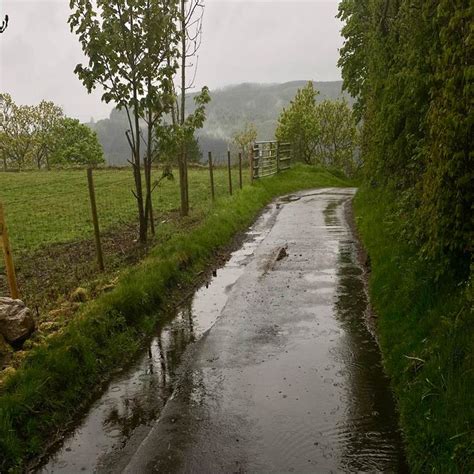 BBC Weather on Twitter: "Soggy morning so far in Pontypridd, Wales.🌧️ 📷Photo by #WeatherWatchers ...