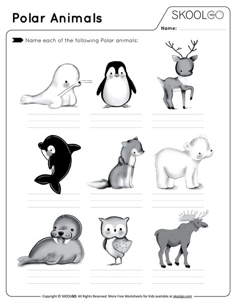 Polar Animals - Free Worksheet - SKOOLGO