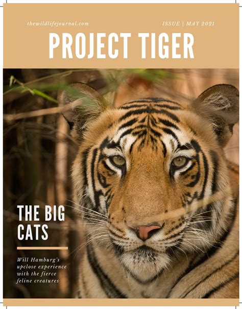 Project Tiger E-book by Ananya Bansal (2) - ANANYA BANSAL - Page 1 - 18 | Flip PDF Online | PubHTML5