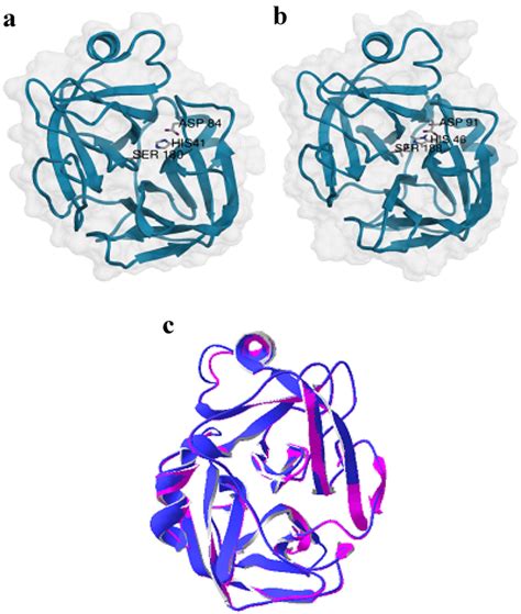 a The overall 3D crystal structure of trypsin from Fusarium oxysporum... | Download Scientific ...