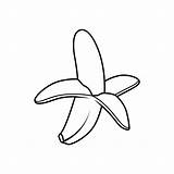 Simple Banana coloring page  Download Print Or Color Online For Free sketch template