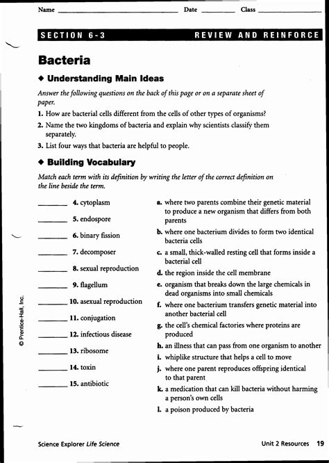 Free Physical Science Worksheets