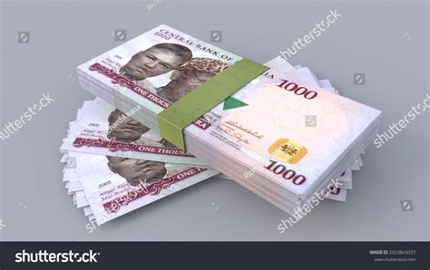 1,593 Naira note Images, Stock Photos & Vectors | Shutterstock