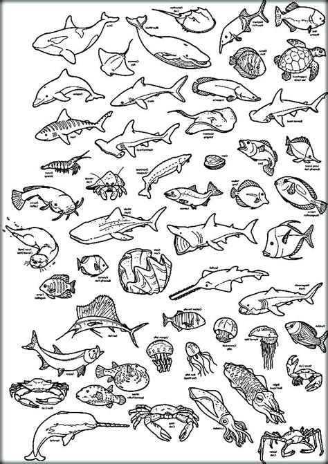 Sea Animals Coloring Pages Fish Coloring Pages