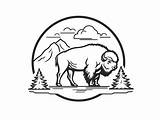 Yellowstone Coloring Pages Top 12 Free Printable Designs sketch template