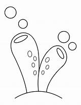 Printable Sponge Coloring Page sketch template
