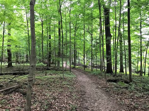 Pokagon State Park | Campground Views