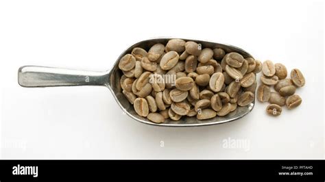 Hawaii, scoop of Washed Typica coffee beans Stock Photo - Alamy