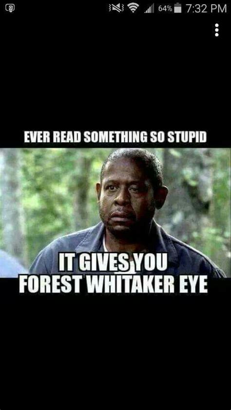 Forest Whitaker eye | Forest whitaker, Funny quotes, Funny pictures