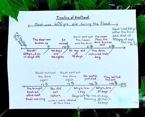 Teaching 1-3: Noah's Flood/Timeline/Conclusion - Done Picking Cotton