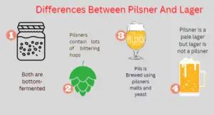 What Is The Difference Between Pilsner And Lager? - hopstersbrew.com