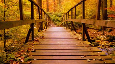 Wooden Bridge Wallpapers - Top Free Wooden Bridge Backgrounds - WallpaperAccess