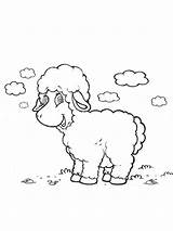 Sheep In A Field coloring Page sketch template