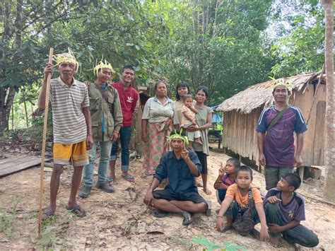 Pahang deforestation adds to decades of indigenous land rights struggle ...