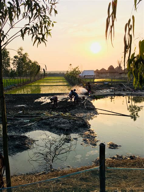 Sundarbans National Park Tour - Experience in India You've Never Heard