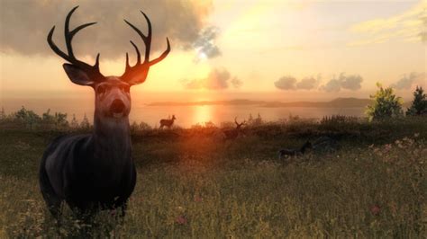 theHunter Classic System Requirements - Can I Run It? - PCGameBenchmark