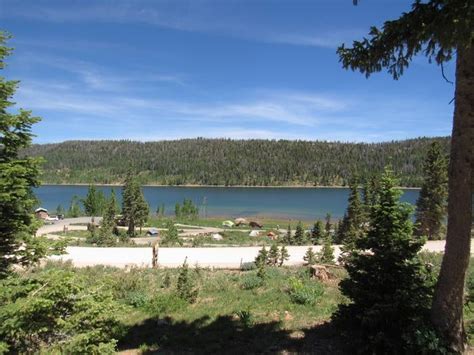 Navajo Lake Campground Camping | The Dyrt