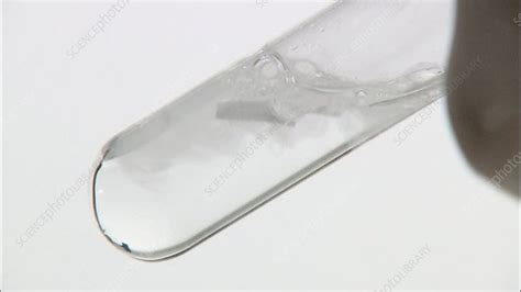 Magnesium in hydrochloric acid - Stock Video Clip - K001/3600 - Science Photo Library