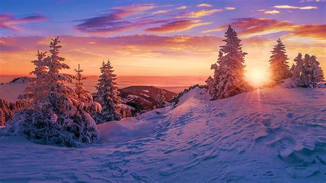 Winter Snow Sunset Wallpaper