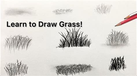 How To Draw Grass | How To Draw Grass Step By Step | How To Draw Grass ...