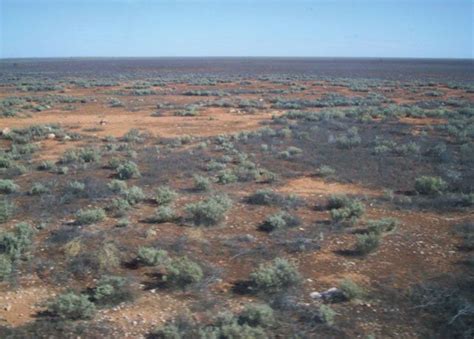 Nullarbor Plain | Desert, Limestone, Cave | Britannica