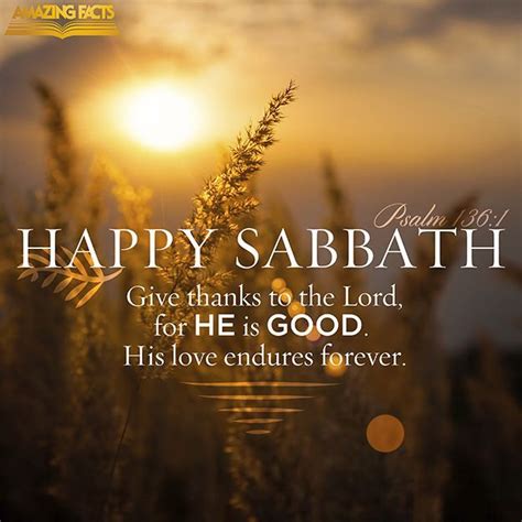 50 Beautiful Shabbat Shalom Greeting Pictures And Photos in 2022 ...