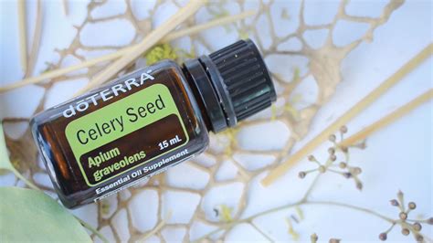 Celery Seed Uses and Benefits | dōTERRA Essential Oils