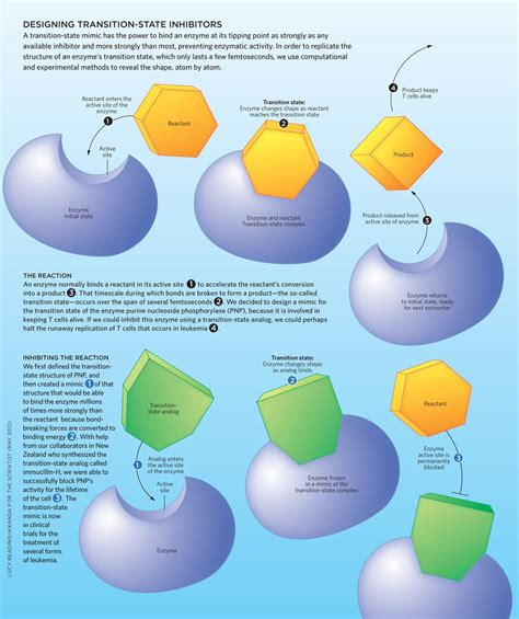 A interesting graphic into designing Transition-state inhibitors. | Biochemistry, States, Prevention