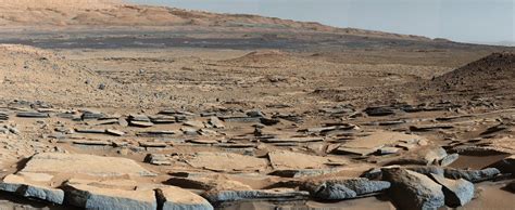 How Martian Microbes Could Survive in the Salty Puddles of the Red Planet | Space