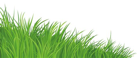 Lawn Clip art - silhouette grass png download - 7298*3112 - Free Transparent Lawn png Download ...