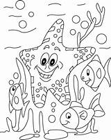 Starfish Along Other fish coloring Pages  Download Free sketch template