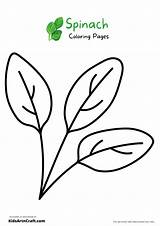 Spinach Coloring Pages For Kids – Free Printables  Art & Craft sketch template