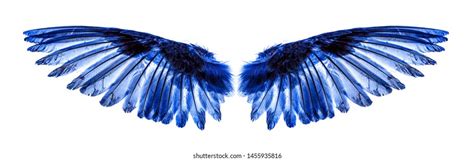 Angel Wings On White Background Stock Photo 1455935816 | Shutterstock