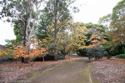 Auburn Botanic Gardens Sydney - Adventure, baby!